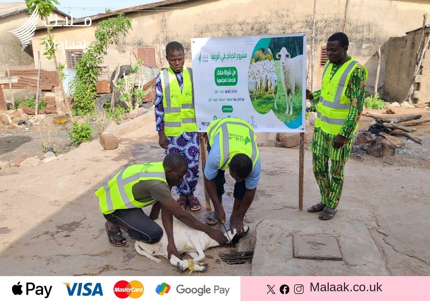 malaak project (6)